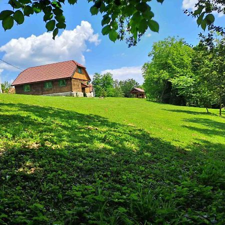 Bakina Iza Villa Duga Resa Dış mekan fotoğraf