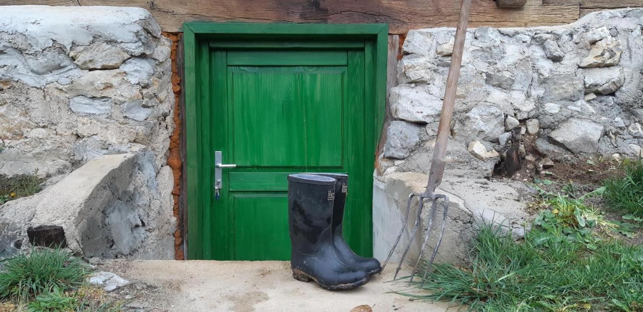 Bakina Iza Villa Duga Resa Dış mekan fotoğraf