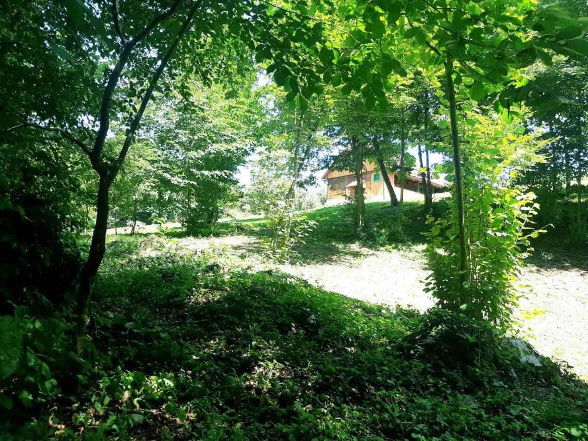 Bakina Iza Villa Duga Resa Dış mekan fotoğraf