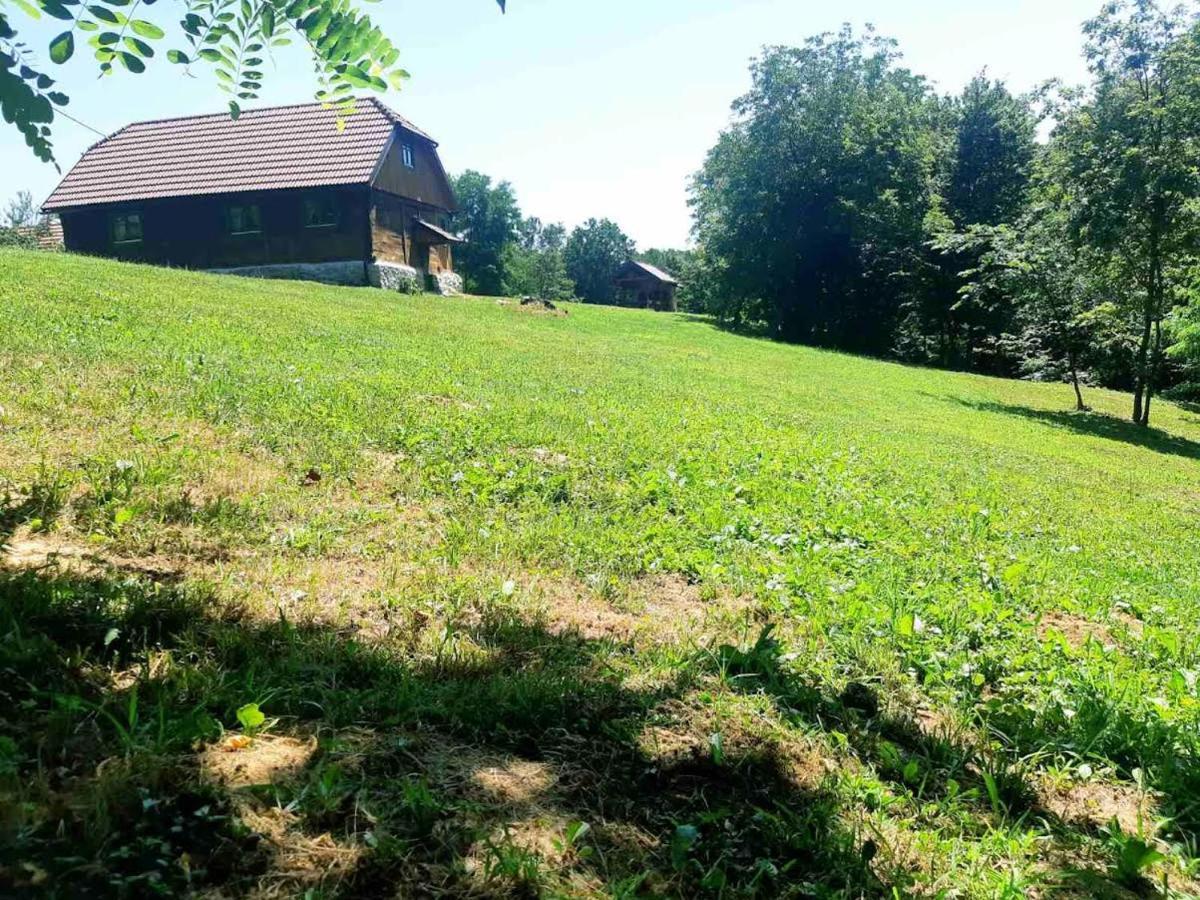 Bakina Iza Villa Duga Resa Dış mekan fotoğraf