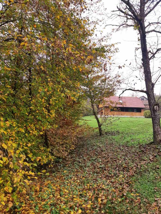 Bakina Iza Villa Duga Resa Dış mekan fotoğraf