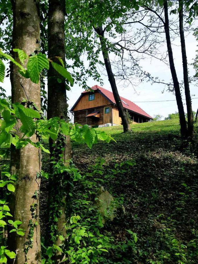 Bakina Iza Villa Duga Resa Dış mekan fotoğraf