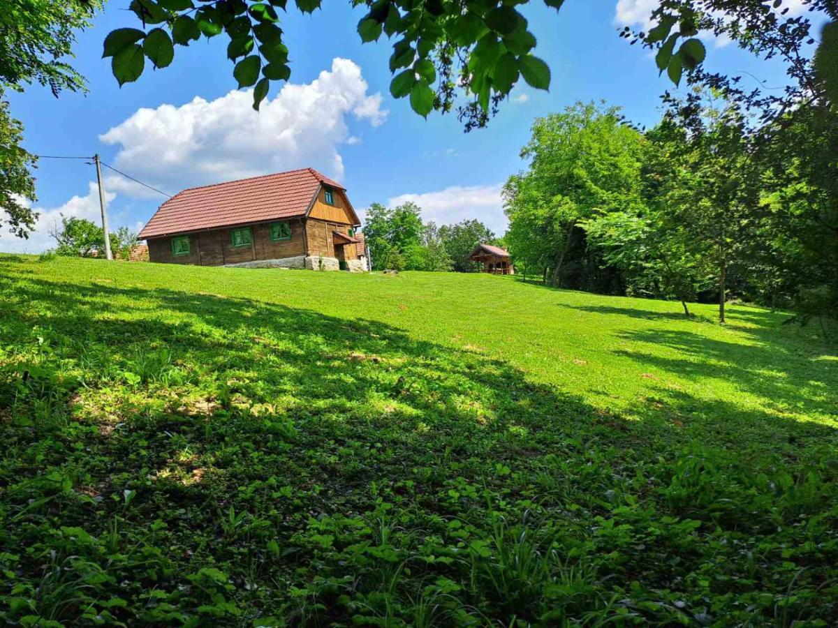 Bakina Iza Villa Duga Resa Dış mekan fotoğraf